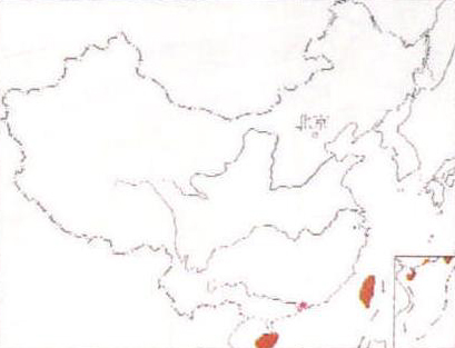 林三趾鹑- 中国鸟类图鉴- 中国工具书网络出版总库
